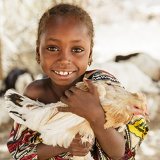 image for Animals for Everyone!!!