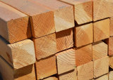 image for Treated Wood