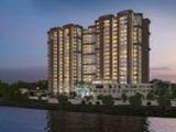 image for Purva Northern Lights