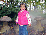 image for Winterthur Museum Membership