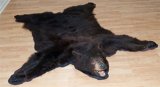 image for Bear Skin Rug with Stuffed Head