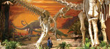 image for New Mexico Natural History Museum Family Membership