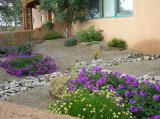 image for Xeriscaping